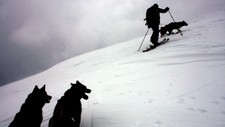 Hundetrekk (Foto: Eirik Lindebjerg/NRK) Hundetrekk (Foto: Eirik Lindebjerg/NRK)