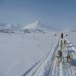 Huskytur i Troms