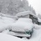 Mange steder i Europa har biler snødd ned i vinter. Mange steder i Europa har biler snødd ned i vinter.