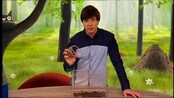 Barne-TV: Andreas lager terrarium - Barne-TV: Andreas lager terrarium