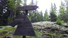 Gampeberget - Her jaget bamsen sitt matbytte...
