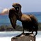 En pelikan ser ut over havet på Galapagos.