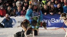 Haaland vinner (Foto: Torill Ustad Stav)