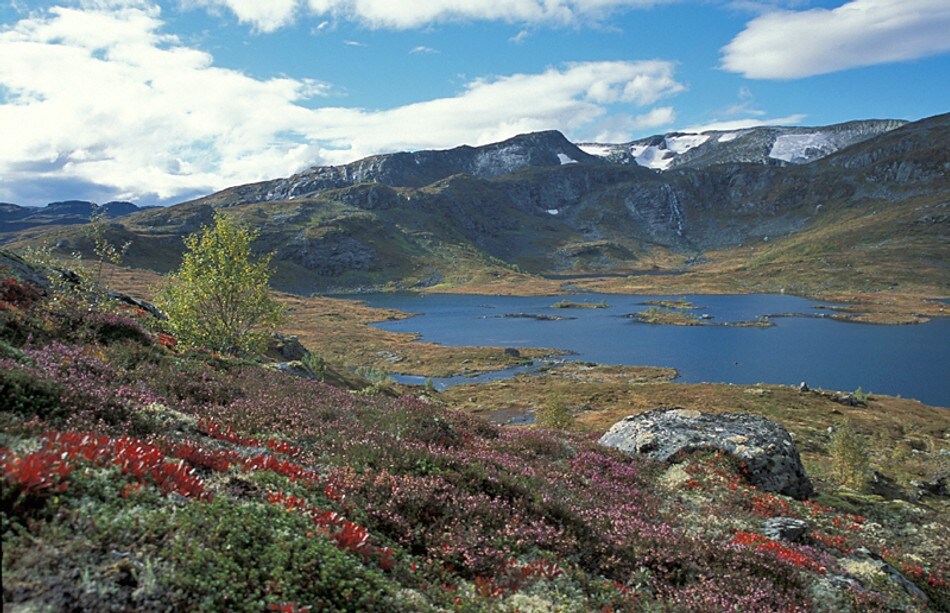Utsikt mot Vatnavatni fra stien