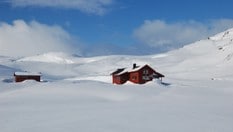 Flott skiterreng rundt hytta