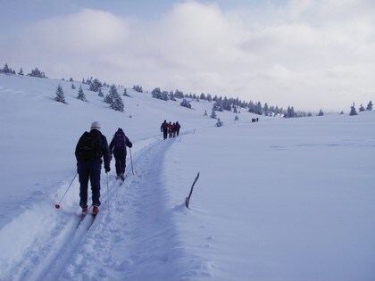 Typisk vinterterreng i Huldreheimen