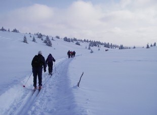 Bilde Fra hytte til hytte på ski i Huldreheimen