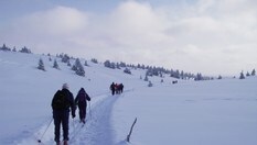 Typisk vinterterreng i Huldreheimen