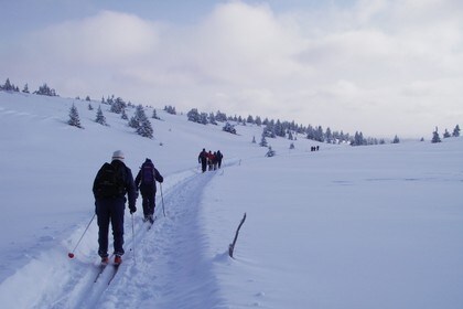 Typisk vinterterreng i Huldreheimen