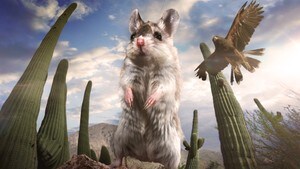 Drama i smådyras rike 1:6