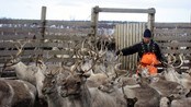 Eira-familien i arbeid