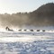 Energi i både hundspannet og snøføyka. Energi i både hundspannet og snøføyka.