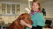 Veterinær Ingeling Bull Nesheim. (Foto: Trine Lejon Tjønnås/NRK)