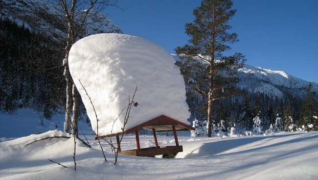 Snø på taket (Foto: Hans-Petter Hauge)
