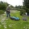 90 år gamle Alfhild klipper bort de fine blomstene på plenen sin. Men de kommer igjen om noen dager