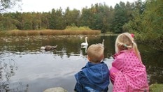 Ved Mosvatnet kan du mate fuglene