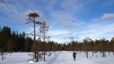 Ørtjernrunden byr på fine løyper over åpent myrlandskap.