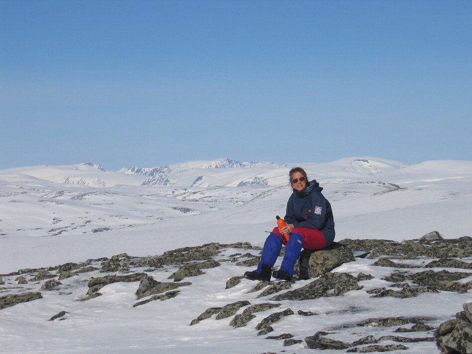 Nord for Snøhetta, Reinheim