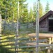 Høstdag ved Abborputthytta