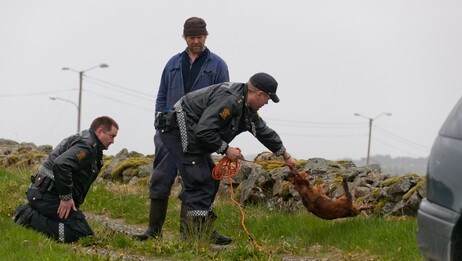Politiet grep inn (Foto: KRISTIAN EIDESVIK) Politiet grep inn (Foto: KRISTIAN EIDESVIK)