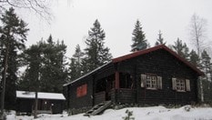 Første snø over Spikertjernhytta. En rolig perle i Romeriksåsen.

Bildet er tatt i min permisjonsperiode, der et av veldig mange mål var å besøke de fleste markahyttene.
