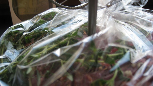 Stek i pose (Foto: Hanne Hoftun/NRK) Stek i pose (Foto: Hanne Hoftun/NRK)