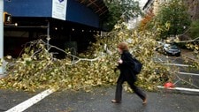 Et tre har falt ned som følge av 'Sandy' på Upper East Side, Manhattan, New York City (Foto: CARLO ALLEGRI/Reuters) Et tre har falt ned som følge av 'Sandy' på Upper East Side, Manhattan, New York City (Foto: CARLO ALLEGRI/Reuters)