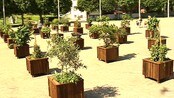 Få navnet ditt på en av disse - Parkvesenet går nye veier for å finansiere blomsterbyen Kristiansand. For 2000 kroner kan folk få plakett med navnet sitt, på en av 40 blomsterkasser, som er satt ut i Tresse. 
