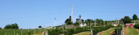 Vangsnes (Foto: Ottar Starheim/NRK)