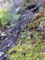 Fjellsida på rasstaden mellom Olden og Innvik. (Foto: Magne Gunnar Holen) Fjellsida på rasstaden mellom Olden og Innvik. (Foto: Magne Gunnar Holen)