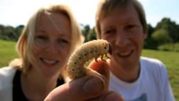 Ut i naturens reporter Hanne Aass og entomolog Stefan Olberg med en neshornbillelarve. (Foto: Torgeir Beck Lande/NRK) Ut i naturens reporter Hanne Aass og entomolog Stefan Olberg med en neshornbillelarve. (Foto: Torgeir Beck Lande/NRK)