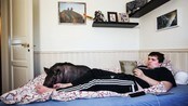 Se triksene Jens har lært Piggy - Se triksene Jens har lært minigrisen Piggy.