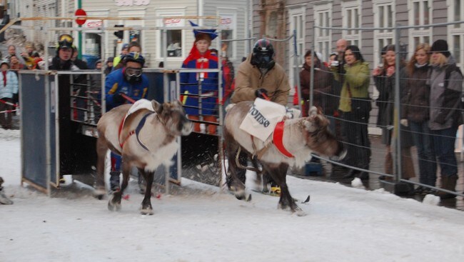Egil Olli og Pål Julius Skogholt kappkjører med rein (Foto: Rune Nordgård Andreassen) Egil Olli og Pål Julius Skogholt kappkjører med rein (Foto: Rune Nordgård Andreassen)
