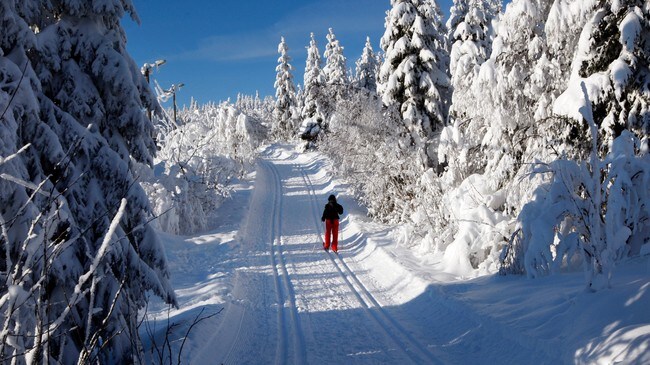 skiløper nordmarka (Foto: Åserud, Lise/SCANPIX) skiløper nordmarka (Foto: Åserud, Lise/SCANPIX)