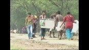 Tvangsflyttes fra kysten i Bangladesh - I Bangladesh er en million mennesker evakuert på grunn av kraftig vind og flom.

Syklonen som har herjet Bengalbukta i flere dager har nå økt i styrke, og forårsaket flom i det lavtliggende landet. 

Hjemmene til over fire millioner mennesker står i fare, og   folk blir flyttet bort fra kysten med tvang.