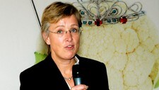 Statssekretær Sigrid Hjørnegård (Foto: Sigurdsøn, Bjørn/SCANPIX) Statssekretær Sigrid Hjørnegård (Foto: Sigurdsøn, Bjørn/SCANPIX)