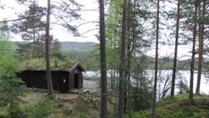 Hovinkoia