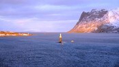 Morild II