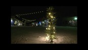 Nytt juletre i Longyearbyen - Nytt juletre i Longyearbyen