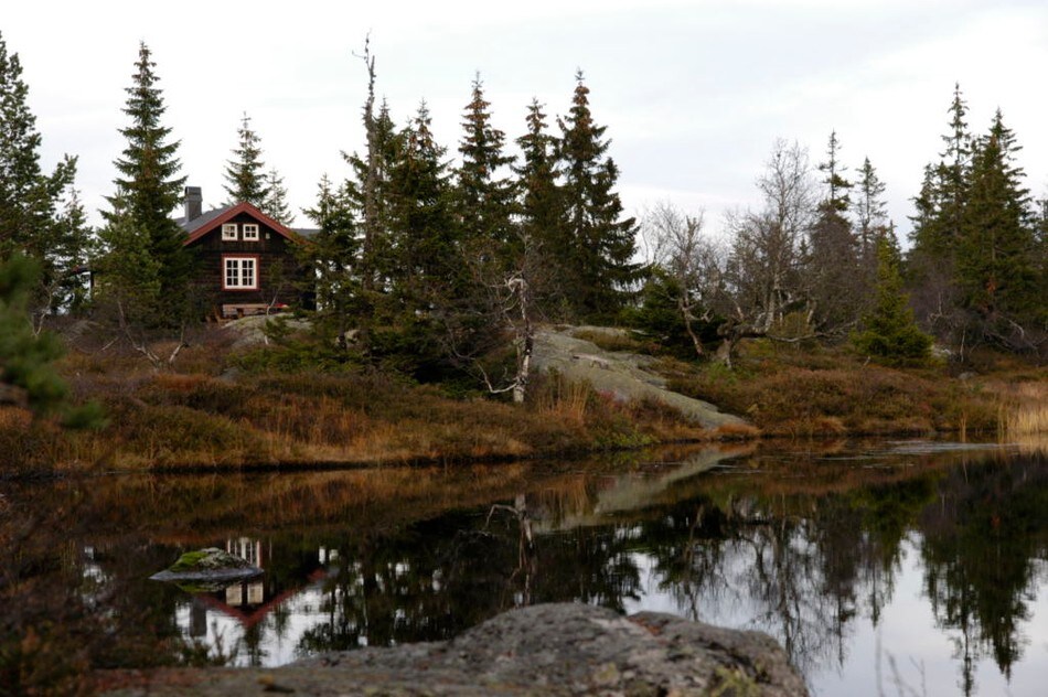 Selsli