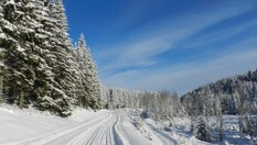 Fra Knuken går løypene innover i Stange almenning.