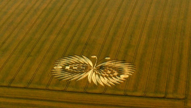'The Butterfly' fra 2007. Hailey Wood, Oxfordshire. (Foto: Eva-Marie Brekkestø.) 'The Butterfly' fra 2007. Hailey Wood, Oxfordshire. (Foto: Eva-Marie Brekkestø.)