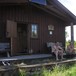 Vetåbua