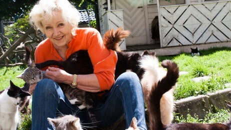 1. Kattekvinnen. I 40 år har Kari Mills (67) kjempet kattenes sak i Stavanger. (Foto: Sindre Leganger/NRK) 1. Kattekvinnen. I 40 år har Kari Mills (67) kjempet kattenes sak i Stavanger. (Foto: Sindre Leganger/NRK)
