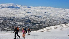 Skitur i området ved Seljestad