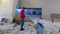 Flaumskade Sjøholt (Malin Kjellstadli Korsnes)