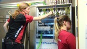 Jenteboom i elektrofag - Flere jenter tar fagbrev i bil- og elektrofag enn før. I 2008 startet rekrutteringsprosjektet "Jenter i bil og elektro", og det har gitt resultater