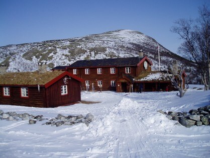 Bjørnhollia