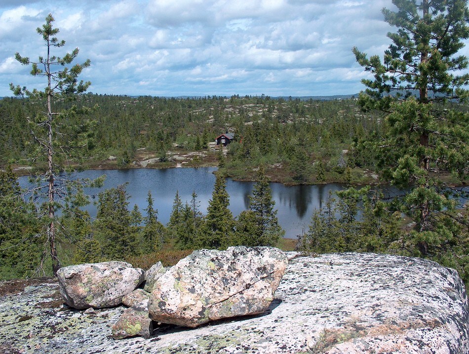 Ved Selsli