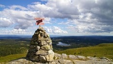 Toppvarden